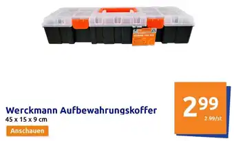 Action Werckmann Aufbewahrungskoffer 45 x 15 x 9 cm Angebot