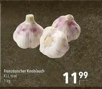 CITTI Markt Französischer knoblauch Angebot