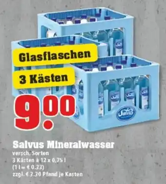 trinkgut Salvus Mineralwasser 12x0,75L Angebot