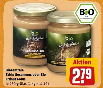 REWE Biozentrale tahin sesammus oder bio erdnuss-mus Angebot