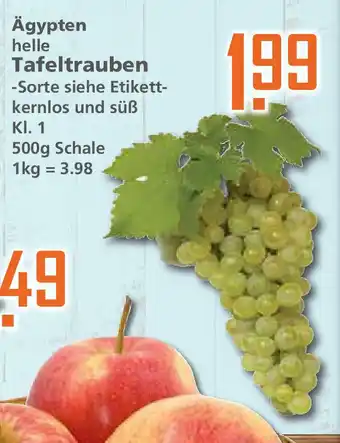 Klaas und Kock Ägypten Helle Tafeltrauben 500g Angebot