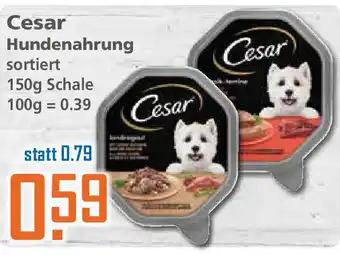 Klaas und Kock Cesar Hundenahrung 150g Angebot