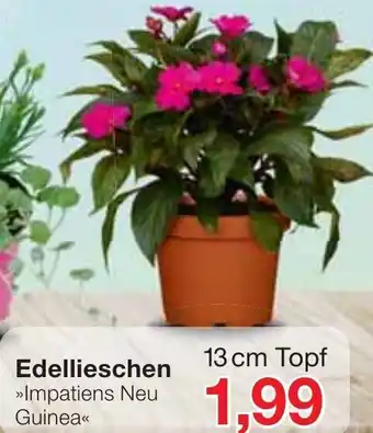 Jawoll Edellieschen Angebot