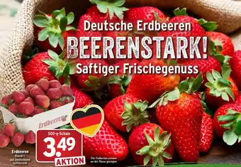 Wasgau Erdbeeren Angebot