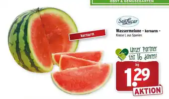 Wasgau SanLucar Wassermelone kernarm Angebot