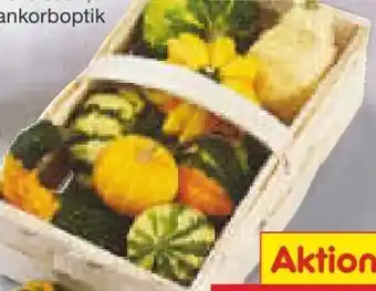 Netto Marken-Discount Zierkürbisse Angebot