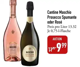 Galeria Markthalle Cantine Maschio Prosecco Spumante oder Rosé 0,75 L Flasche Angebot