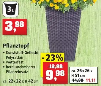 Thomas Philipps Pflanztopf Angebot