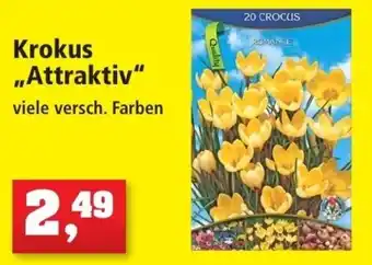 Thomas Philipps Krokus Attraktiv Angebot