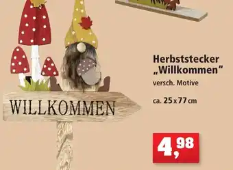 Thomas Philipps Herbststecker ,,Willkommen" Angebot