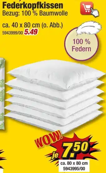 Poco Federkopfkissen Angebot