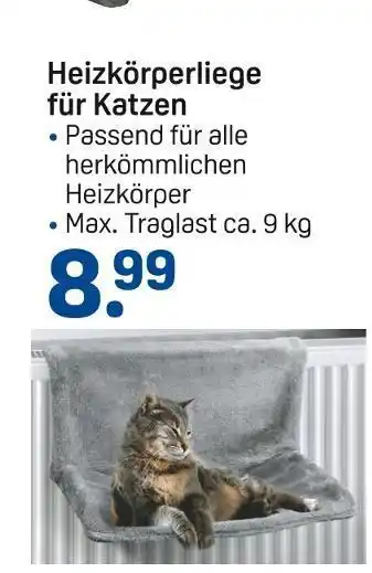 Rossmann Heizkörperliege für katzen Angebot