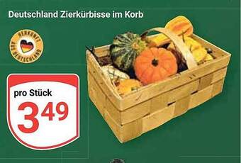 Globus Deutschland zierkürbisse im korb Angebot