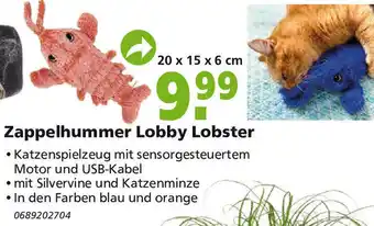 Globus Baumarkt Zappelhummer Lobby Lobster Angebot