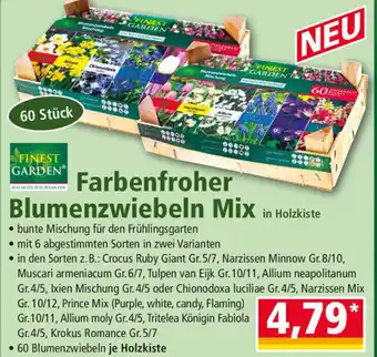 Norma Finest Garden Farbenfroher Blumenzwiebeln Mix Angebot