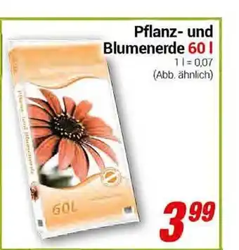 CENTERSHOP Pflanz und blumenerde 60 l Angebot