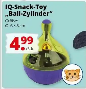 Groschen IQ Snack Toy Ball Zylinder Angebot