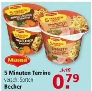 Multi Markt Maggi 5 minuten terrine Angebot