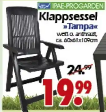 Wreesmann Klappsessel Tampa Angebot