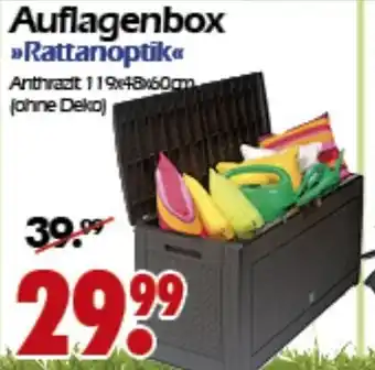 Wreesmann Auflagenbox Rattanoptik Angebot