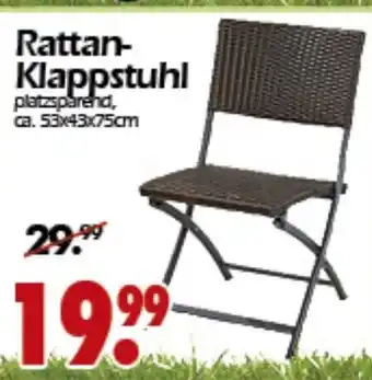 Wreesmann Rattan Klappstuhl Angebot