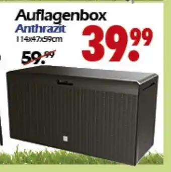 Wreesmann Auflagenbox Anthrazit Angebot