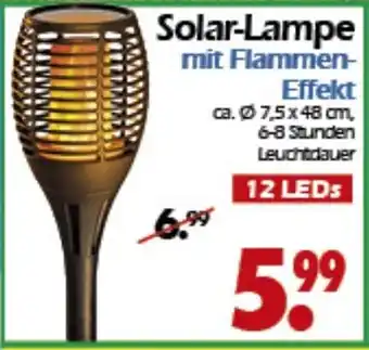 Wreesmann Solar Lampe mit Flammen Effekt Angebot