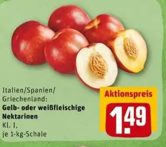 REWE PETZ Gelb oder weißfleischige Nektarinen 1kg Angebot