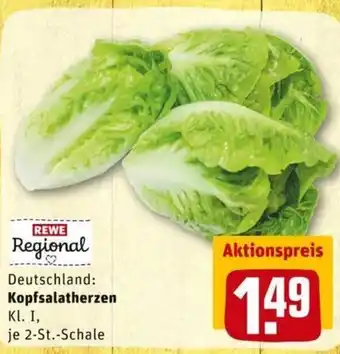 REWE PETZ Kopfsalatherzen Angebot