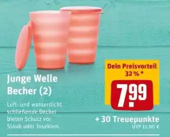 REWE PETZ Junge Welle Becher Angebot