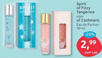 Budni Spirit of Fizzy Tangerine oder of Cashmere Eau de Parfum 30 ml Angebot