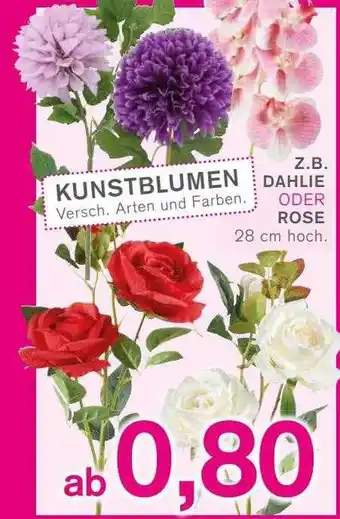 KODi Dahlie oder rose Angebot