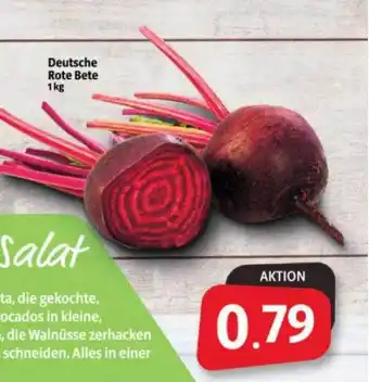 Markant Markt Deutsche rote bete Angebot