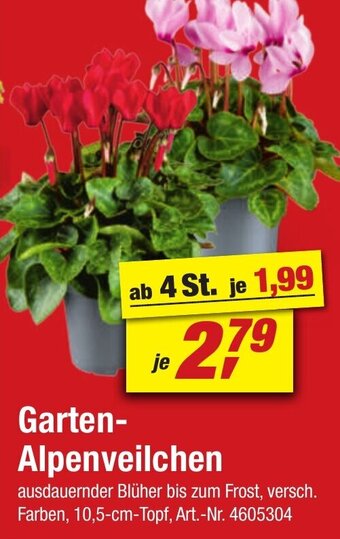 toom Baumarkt Garten Alpenveilchen Angebot