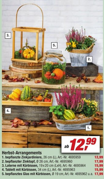toom Baumarkt Herbst Arrangements Angebot
