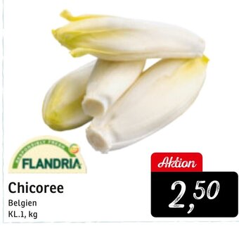 KONSUM Flandria Chicoree Angebot