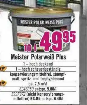 Hornbach Meister polarweiß plus Angebot