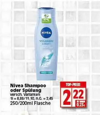 Elli Markt Nive shampoo oder spülung Angebot