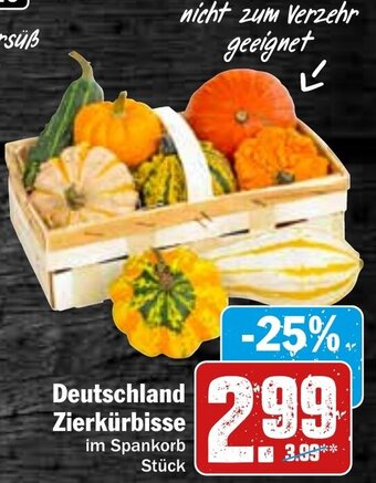 HIT Deutschland Zierkürbisse Angebot