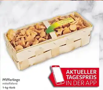 Selgros Pfifferlinge Angebot