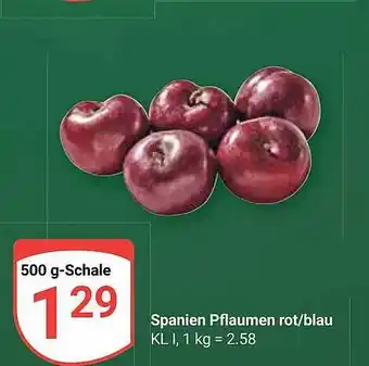 Globus Spanien pflaumen rot-blau Angebot