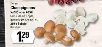 Meyer's Frischemarkt Champignons weiß oder rosé Angebot