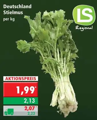 L. STROETMANN GROSSMARKT Deutschland Stielmus Angebot