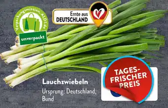 Aldi Süd Lauchzwiebeln Angebot