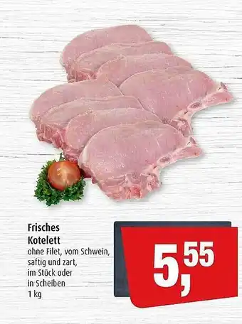 Markant Markt Frisches kotelett Angebot