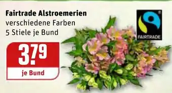 REWE Kaufpark Fairtrade Alstroemerien Angebot