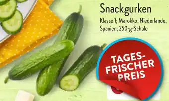 Aldi Nord Snackgurken 250 g Schale Angebot