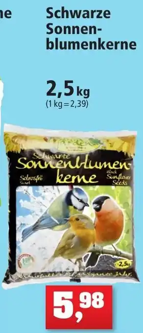 Thomas Philipps Schwarze Sonnenblumenkerne 2,5 kg Angebot