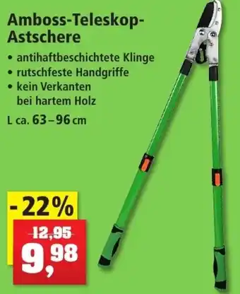 Thomas Philipps Amboss Teleskop Astschere L ca. 63-96 cm Angebot