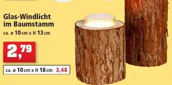 Thomas Philipps Glas Windlicht im Baumstamm Angebot